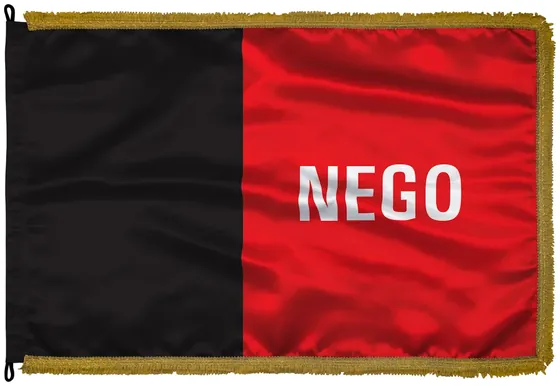 Bandeira da Paraíba em cetim com franja dourada
