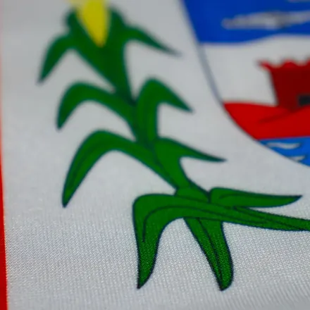 Detalhe do acabamento da bandeira de Alagoas