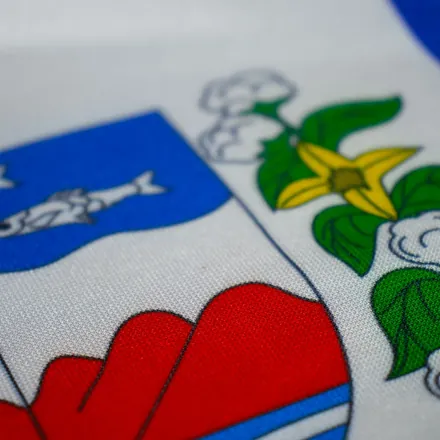 Detalhe do tecido da bandeira de Alagoas