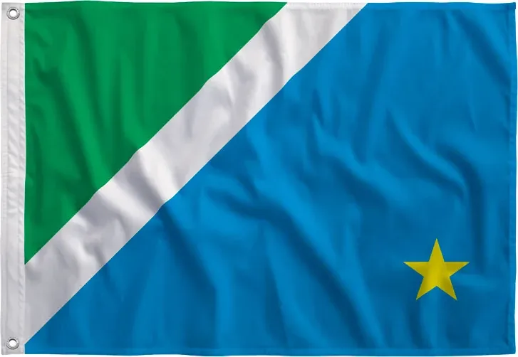 Bandeira de Mato Grosso do Sul reta, estampada