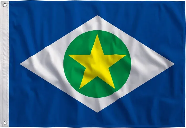 Bandeira de Mato Grosso reta, estampada
