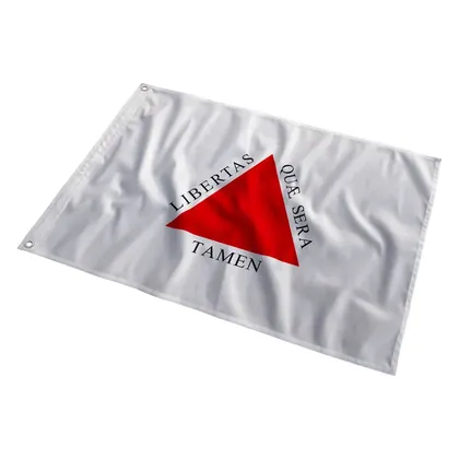 Bandeira de Minas Gerais ao vento