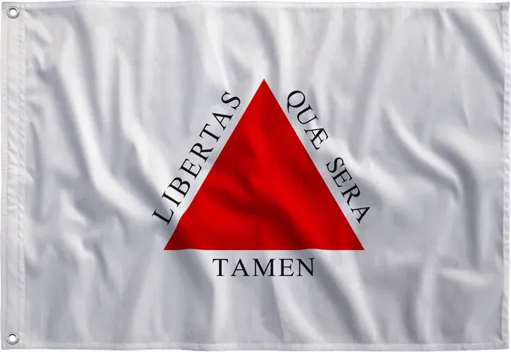 Bandeira de Minas Gerais esticada, vista de frente