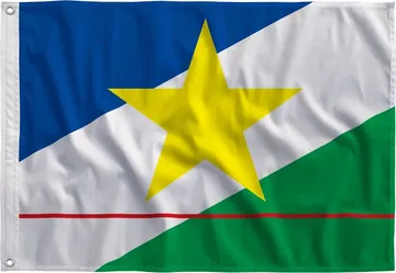 Bandeira de Roraima
