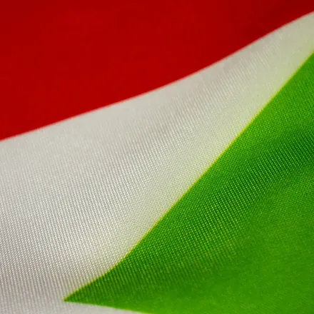 Detalhe do tecido da bandeira de Santa Catarina