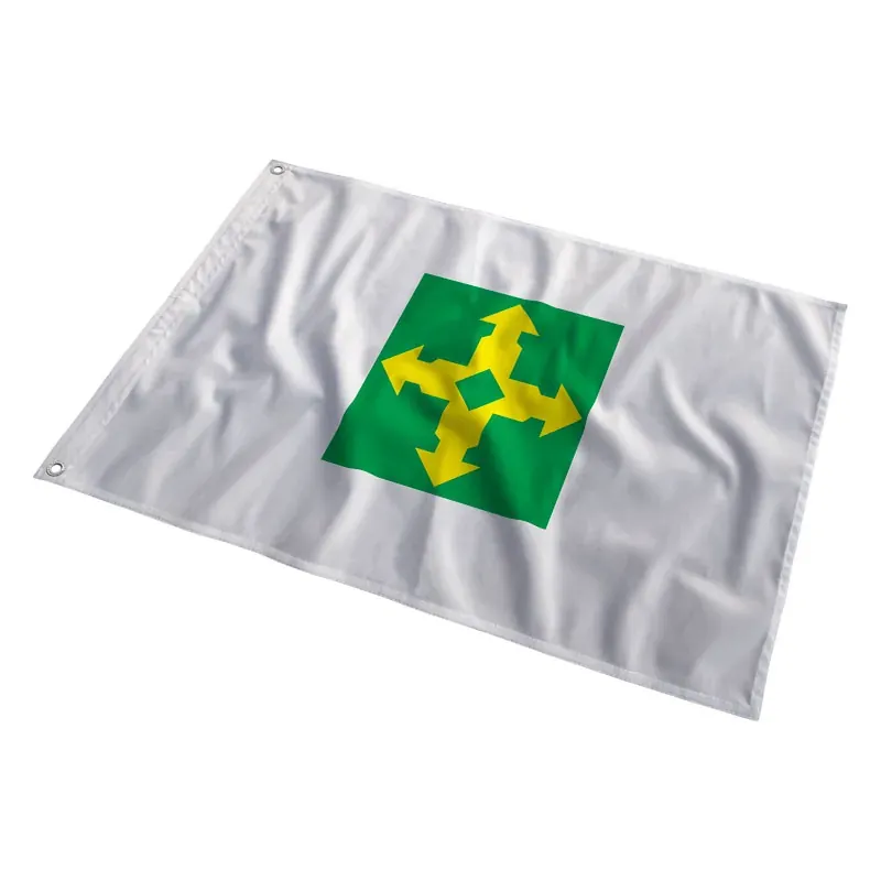 Bandeira do Distrito Federal tremulando ao vento