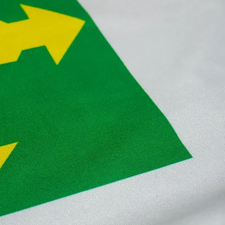 Detalhe do acabamento da bandeira do Distrito Federal