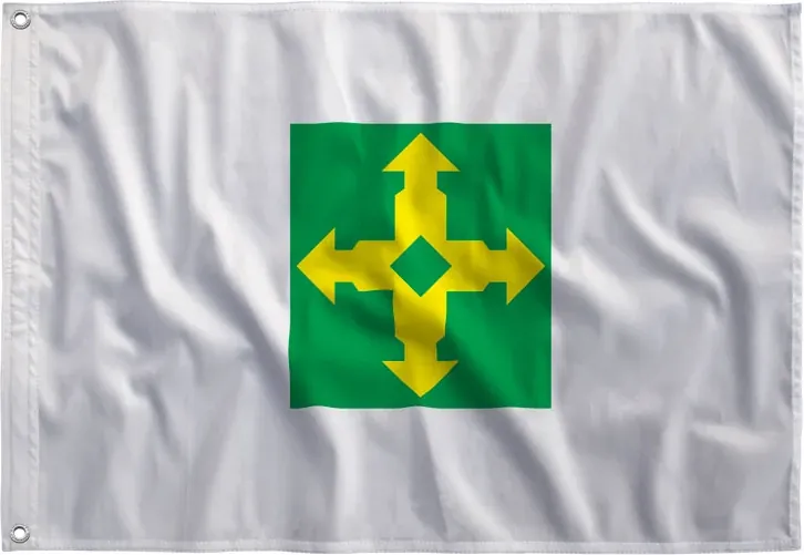 Bandeira do Distrito Federal reta, estampada