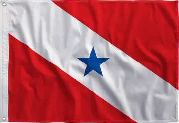 Bandeira do Pará