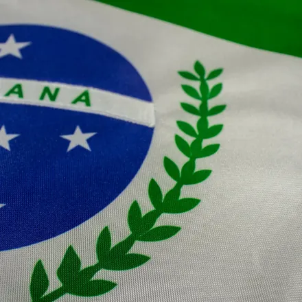 Detalhe do tecido da bandeira do Paraná